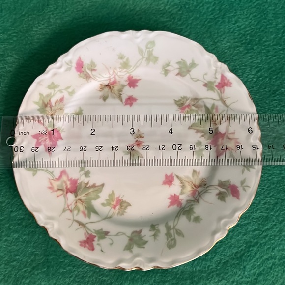 Hutschenreuther Bread and Butter Maple Leaf Plate - Picture 4 of 4